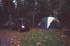 Carl's Site