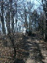 Near Meadow Knob