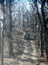Near Meadow Knob