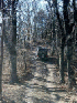 Near Meadow Knob