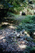 Dry Crossing near Black Run