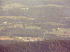 View from Flagpole Knob facing East