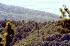 View from Flagpole Knob facing East