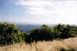 View from Flagpole Knob facing East