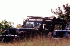 Jeeps on Flagpole Knob