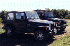 Jeeps on Flagpole Knob