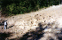 Shea near large rock hill