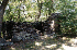Small Stone Camp