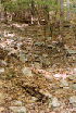 Rocky Trail