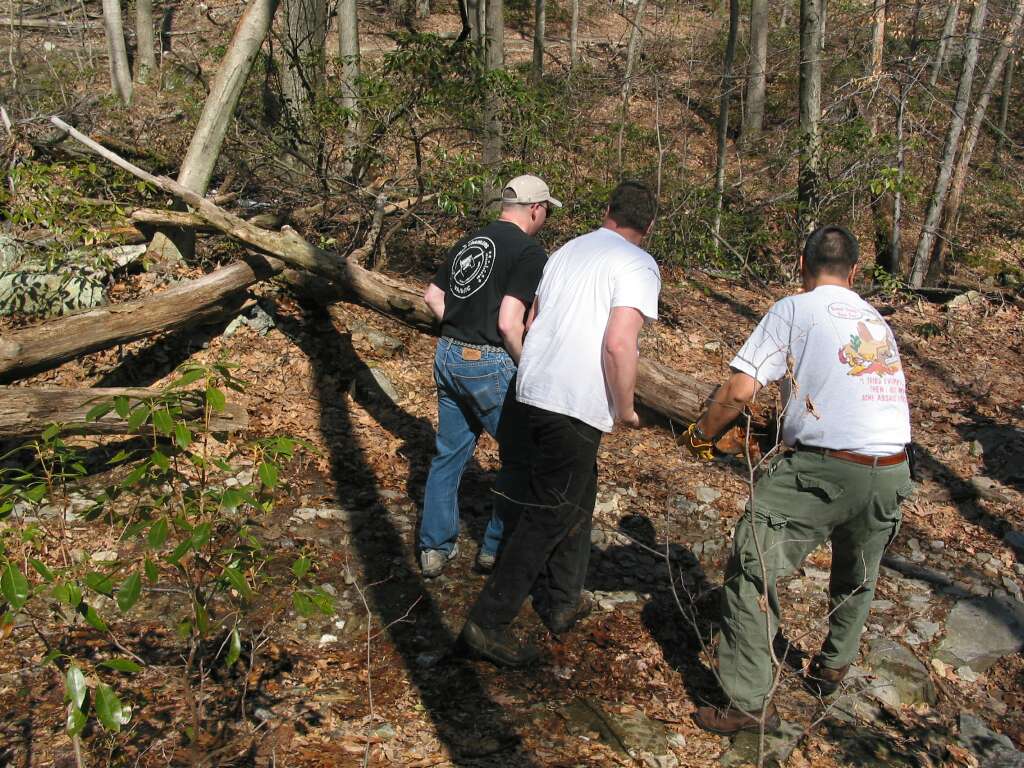 Clearing fallen wood - Click to enlarge