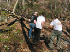Clearing fallen wood