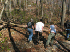 Clearing fallen wood