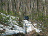 Trail