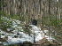 Trail