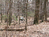 Trail