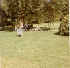 Nana's yard 1969