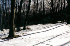 Trail