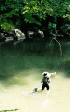 Angler