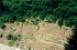 Savage River Dam