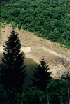 Savage River Dam