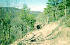 Paul on Gauley Ridge Rd.