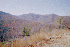 View North from Gauley Ridge