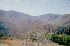 View North from Gauley Ridge