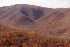 Gauley Ridge