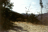 Gauley Ridge