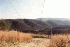Power Lines on Gauley Ridge