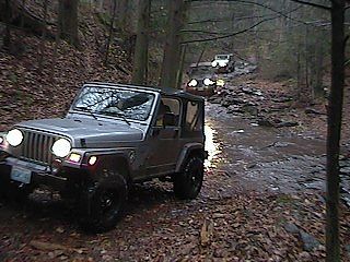 The Trail Group