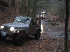The Trail Group
