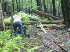 Carl sawing
