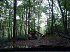 Up the trail