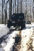 Trail
