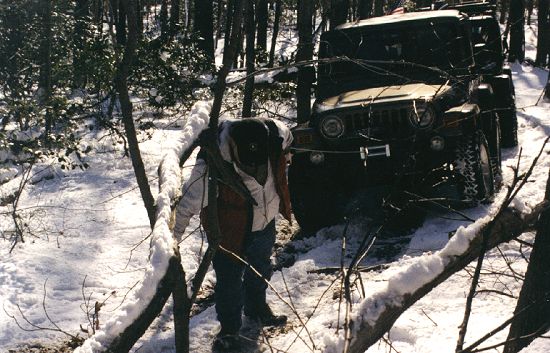 Tree removal - Click to Enlarge