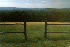 Scenic Outlook