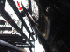 Contact Patch on Rack