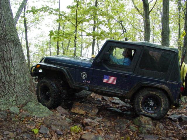 Rock Garden on Findley Ridge