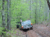 Trail