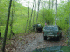 Trail
