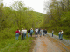 Gallery watching crossing