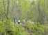 Watching crossing on Trail 9