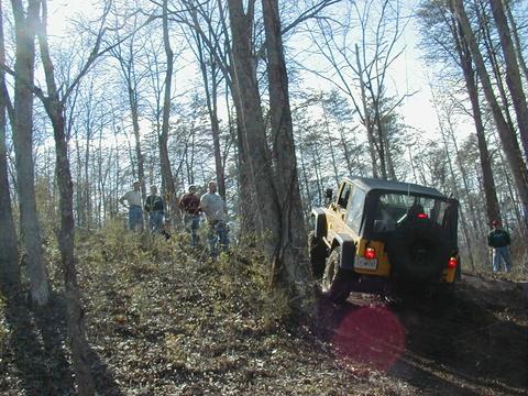 Wayne Climbing