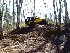 Movie: mov04450.mpg Wayne