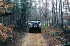 Following trail