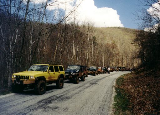 Line Up