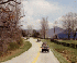 Line on the road