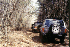 Trail line