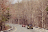 Mark on the Road